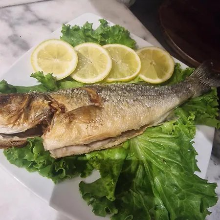 Premium * Durres